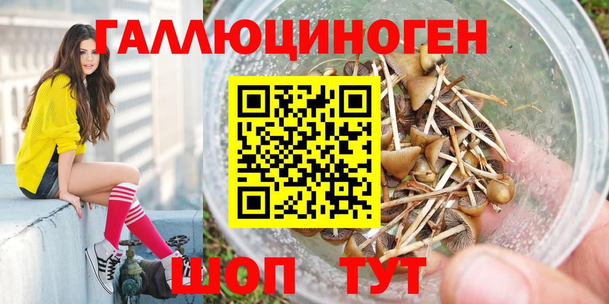 Кинешма  цена наркотик  Вход с VPN  Галлюциногенные грибы мухоморы 